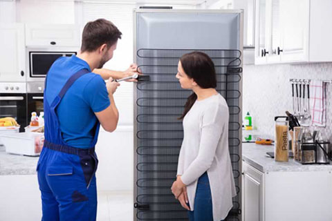 Fridge Repair