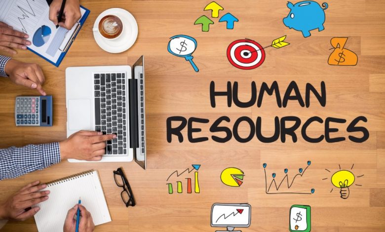 Best HR Software