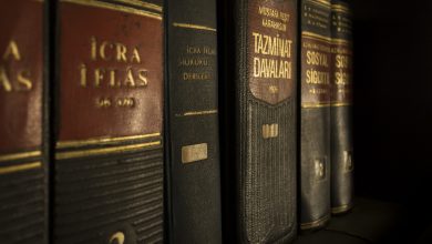 Photo of Law classifications and their features