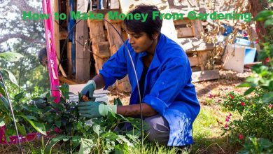 Photo of How to Make Money From Gardening