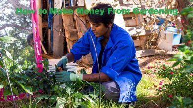 Photo of How to Make Money From Gardening