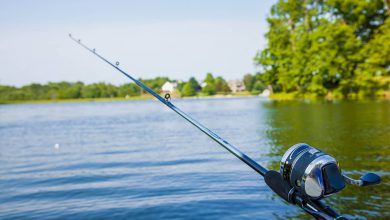 Photo of Strategies for Successful Wreck Fishing