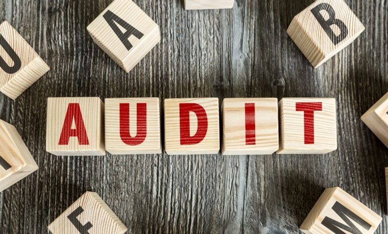 Why an audit is necessary for the company website?