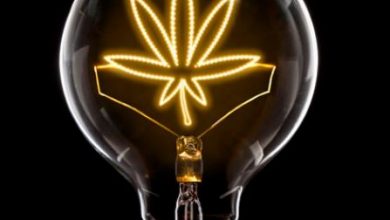 Photo of The Best Tech Solutions For Cannabis Business