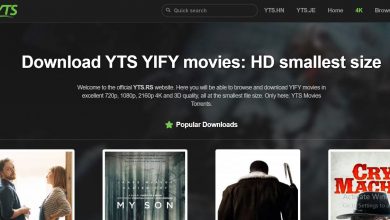 Photo of What Is YIFY Torrents All About?