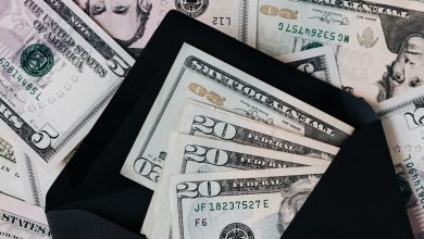 Photo of Top 11 Business Ideas In USA For Earn Money