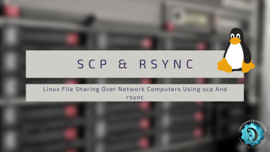 Photo of Successful Method to Completely Shared Files in Linux