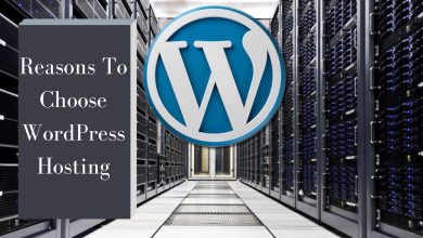Photo of 5 Reasons To Choose WordPress Hosting