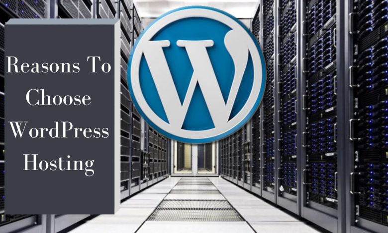 WordPress Hosting