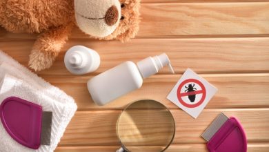 Photo of Signs & Symptoms of Hair Lice to Treat with Lice Service Los Angeles