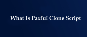 What Is Paxful Clone Script