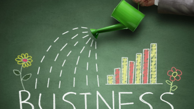 Photo of How to Grow Your Business on the far side You’re Borders