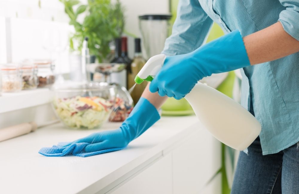 Keep the kitchen clean pests