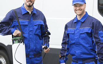 Photo of 9 Reasons to Hire a Professional for Bird Removal Melbourne