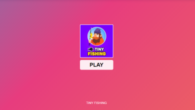 Photo of Nice game on a tiny fishing online site.