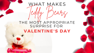 Photo of What Makes Teddy Bears the Most Appropriate Surprise for Valentine’s Day 2022?