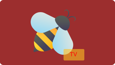 Photo of The Best User Guide To Bee TV On Roku