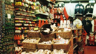Photo of 4 Amazing Marketing Tactics To Sell Your Pet Products Online