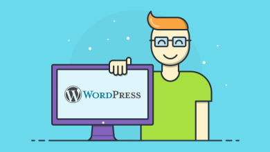 Photo of What Are the Requirements for Becoming a WordPress Developer ?