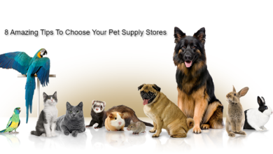 Photo of 8 Amazing Tips To Choose Your Pet Supply Stores