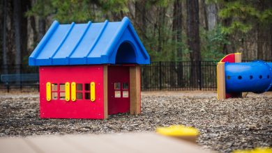 Photo of Fun And Useful Dog Playground Equipment For Dog Park