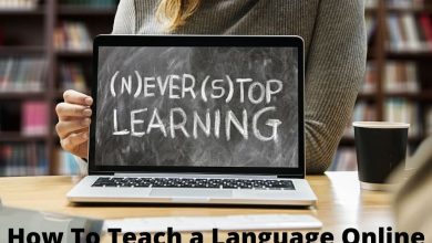 Photo of Should I work for myself or a Company as an online English Tutor?