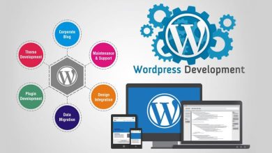 Photo of Here are Some Benefits to Hire a WordPress Development Company