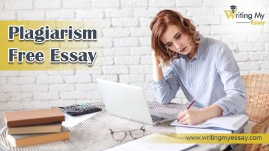 Photo of Boost your Marks and Knowledge with Plagiarism Free Essay Writing