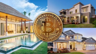 Photo of Bitcoin Synergy Official for Your Homestead