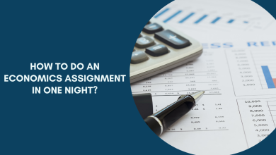 Photo of How To Do An Economics Assignment in One Night?