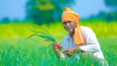 Photo of The new facility launched on Meri Fasal-Mera Yojna Portal, farmers will be able to file crop insurance-related complaints online