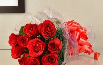 Photo of Best Website to Order Flower Delivery In Delhi – MyFlowerTree