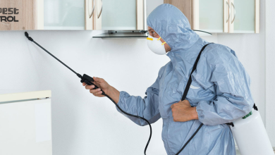 Photo of Know All About Different Pest Control Services in India