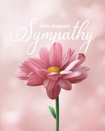 sympathy cards for family