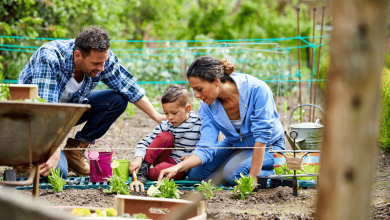 Photo of The Joy of Gardening: How to Improve Your Home and Your Mood