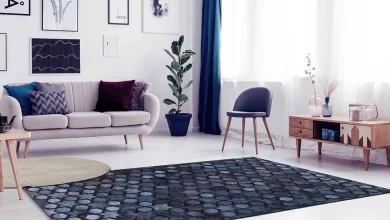 Photo of Buying Blue Area Rug