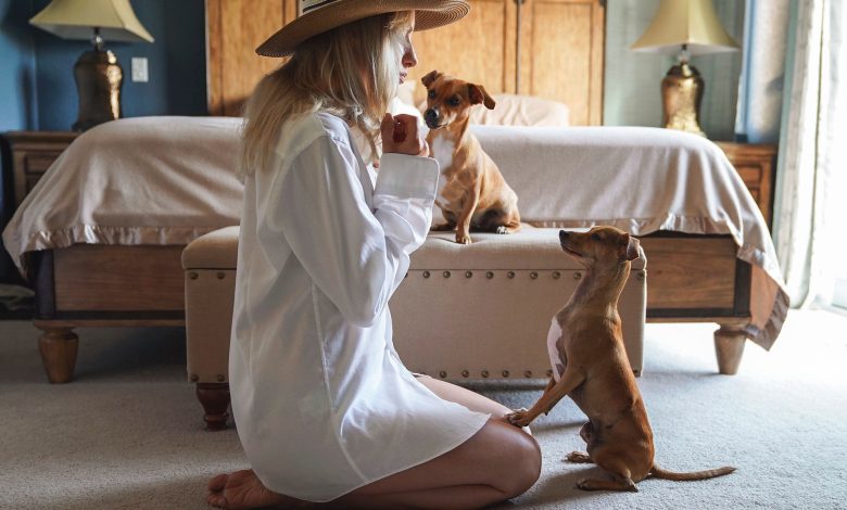 Dog training