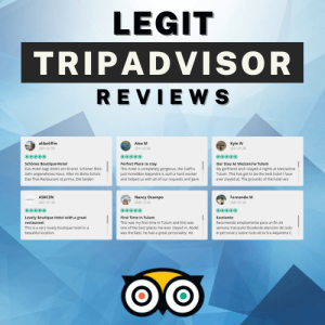 Legit tripAdvisor Reviews