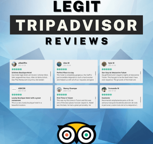 Legit tripAdvisor Reviews