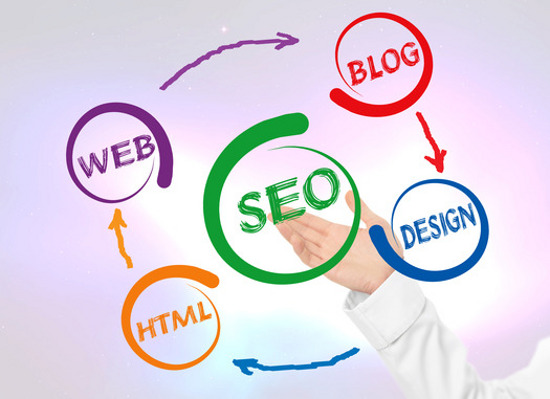 SEO Company in Delhi NCR