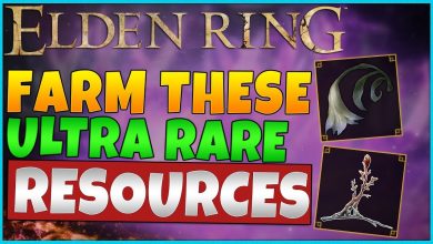 Photo of What Exactly Is the Role That the Arteria Leaf Plays and Where Can I Find Some in Elden Ring