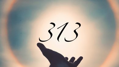 Photo of 313 Angel Number Meaning