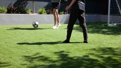 Photo of Which Artificial Grass To Choose In Dubai