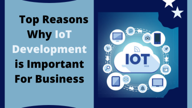 Photo of Top Reasons Why IoT Development Is Important for Business