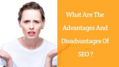 Photo of Define Some Advantages and Disadvantages of SEO?