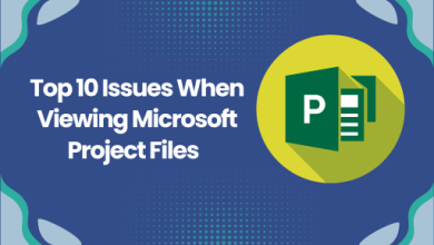 Photo of Top 10 Issues When Viewing Microsoft Project Files 